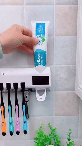 ESTERILIZADOR DE CEPILLO