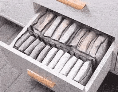 ORGANIZADOR DE PANTALONES 12 DIVISIONES