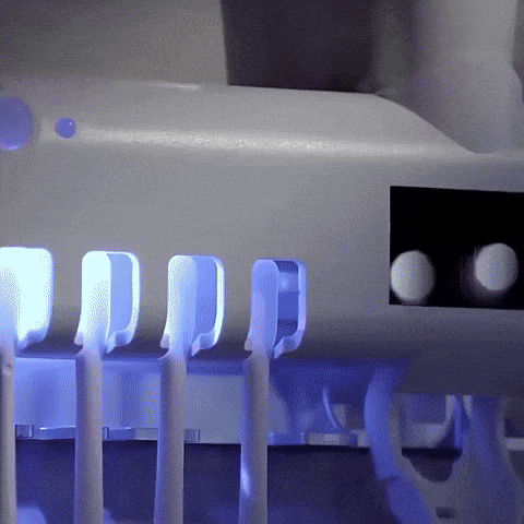 ESTERILIZADOR DE CEPILLO