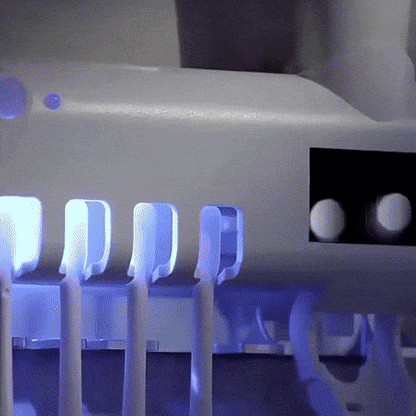 ESTERILIZADOR DE CEPILLO